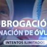 Tratamiento de infertilidad paso a paso en BioTexCom: Maternidad Subrogada y donación de óvulos