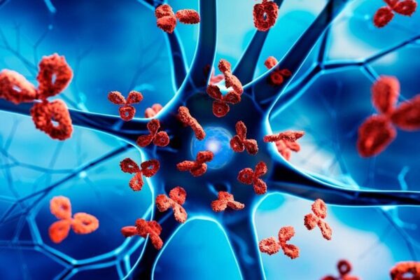 Enfermedades autoinmunes y embarazo