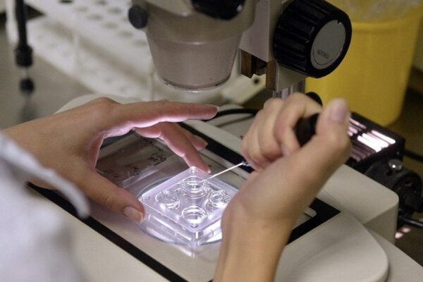 FIV con material biológico propio: preparación, recomendaciones y etapas