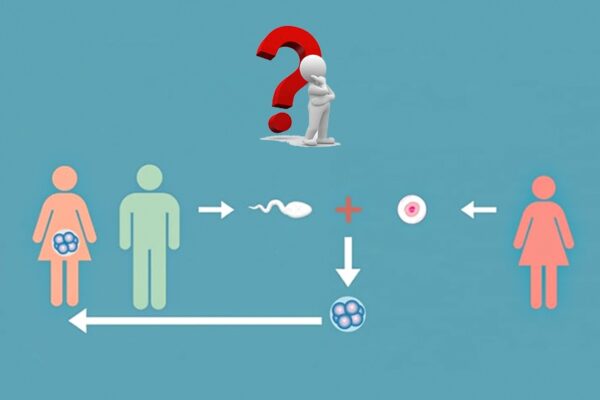 FIV con óvulos donados. Preguntas frecuentes (FAQ)