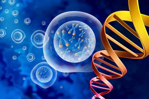 Cómo funciona la tecnología MRT en BioTexCom